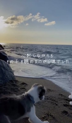 心配もしていました