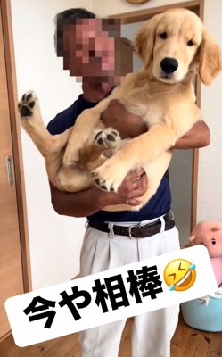 ドヤ顔のそなくん