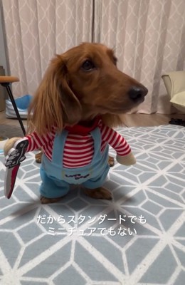 コスプレしたエールくん