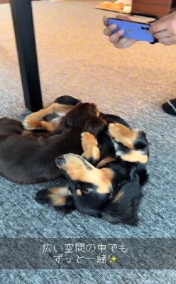 片時も離れない…