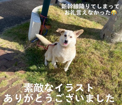 素敵な旅の思い出になりました
