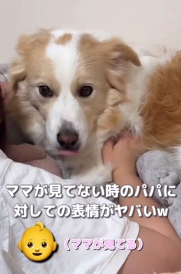 ママが泣いていると…