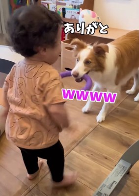 おもちゃを咥える犬の前に子供