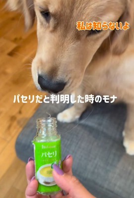 「これ、どうしたの?」