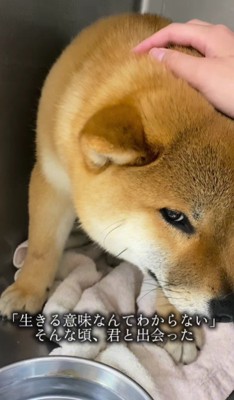 「生きる意味なんてない」