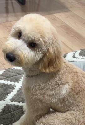 振り向きざまに…