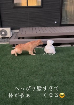 困惑が止まらない…