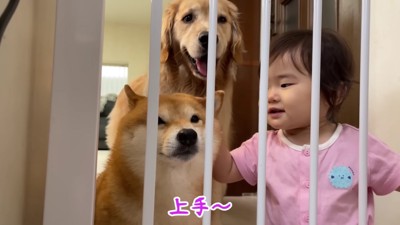 なでなでを練習中♪