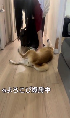 お姉ちゃんを熱烈歓迎するけいちゃん7