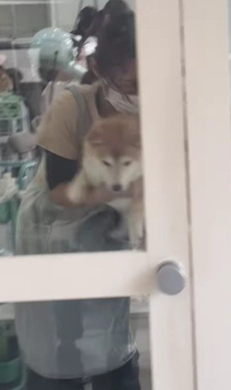 テンションが上がる小雨ちゃん