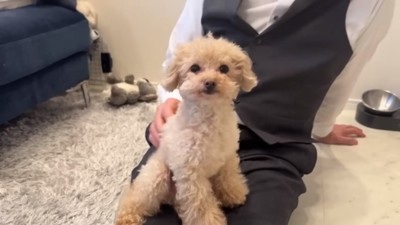 ドヤ顔の小殿くん