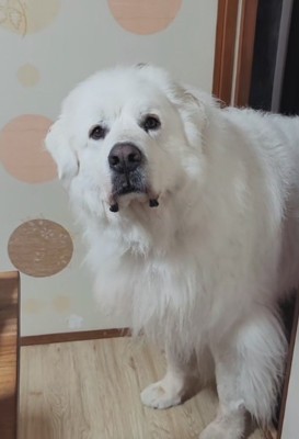 現実を受け入れられない