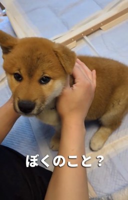 名前を認識したおでんくん