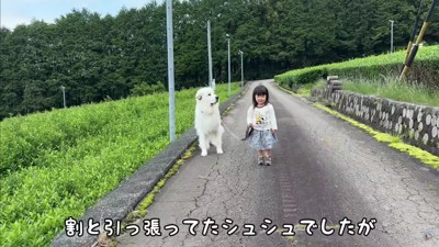 必ず歩調を合わせてあげるそう