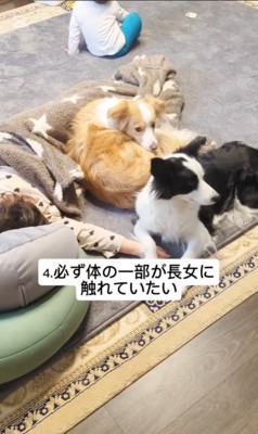 女の子とアグちゃんの日常6