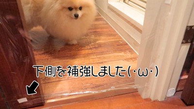 対策したら…？