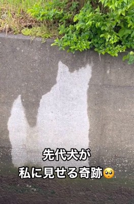 ウィルくんのようなシルエット