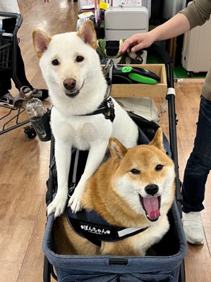 うに太くん＆ぽん太くん