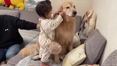 耳をクルクル♪