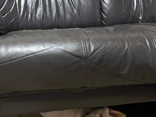 ソファーの下を見たら…