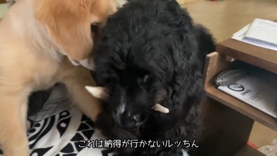 「そこは僕の席!」と間に入るルーク君