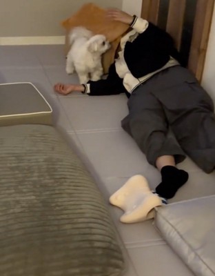 横になって腕を持ち上げる飼い主