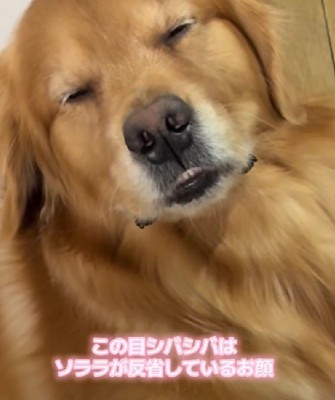 前歯が出てる！！