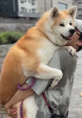リラックスしているおはるちゃん