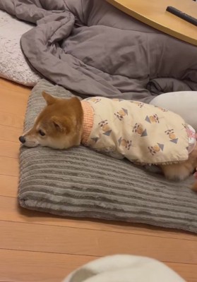 抱っこで寝室に移動したい！？