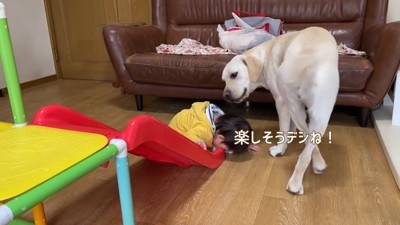 サンちゃんも嬉しそう