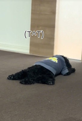 悲壮感がすごい…!