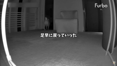 納得したように寝室へ