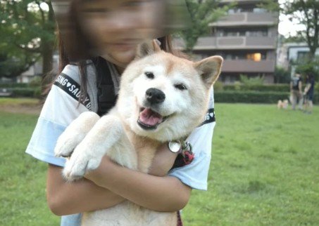 ママの心の支えにも