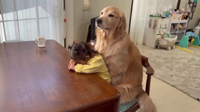 「まだかなあ…」