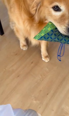 お手伝いするホット君7