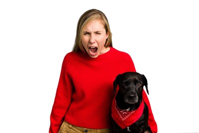 イラついた飼い主と犬