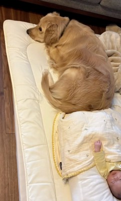 いつだって見守ってるよ