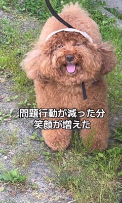 幸せが伝わる笑顔にホッコリ