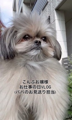 こんぶちゃんのお見送り