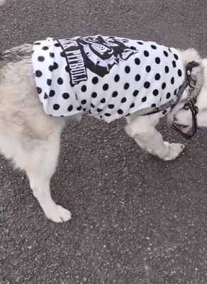 「堅さはどうかな?」