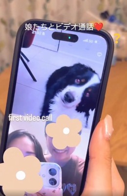 首をかしげるハリーくん