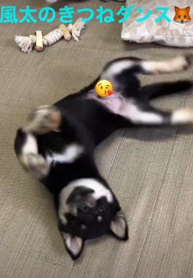 ゴキゲンなときのダンス♪