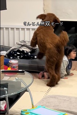 きんとん君VS男の子4