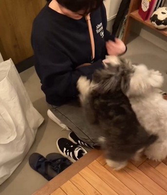 寄り添う2匹の犬