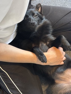美しい