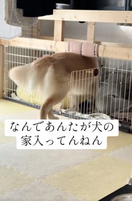 「入りますよ〜」