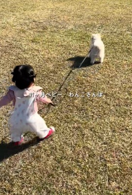 もち君と赤ちゃんのお散歩