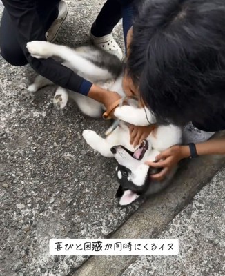 嬉しがるキラくん