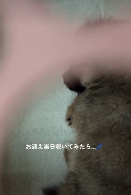 スヤスヤと熟睡♡