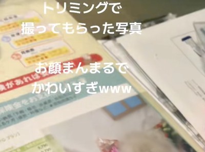 はたしてどんな写真なのでしょう?